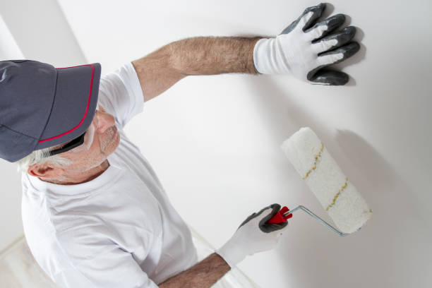 Best Attic Mold Removal  in Wrightsville, GA