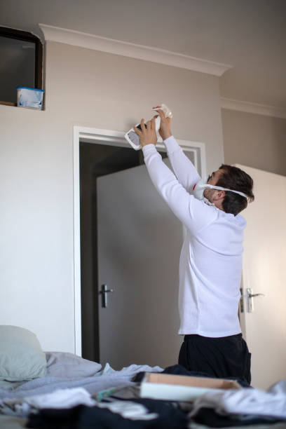 Trusted Wrightsville, GA Mold Removal Experts