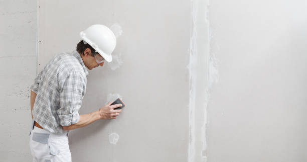 Best Comprehensive Air Testing for Mold Contaminants  in Wrightsville, GA
