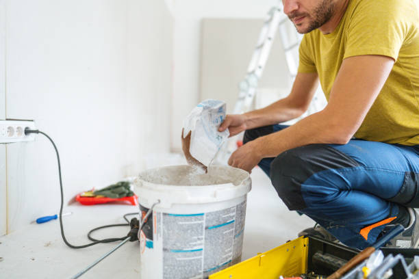 Best Black Mold Removal  in Wrightsville, GA