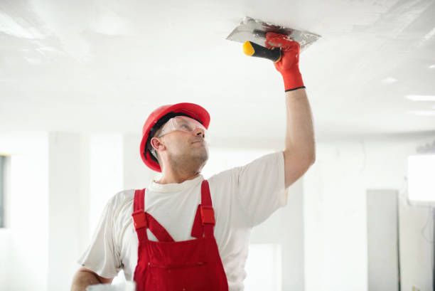 Best Biohazard Mold Removal  in Wrightsville, GA