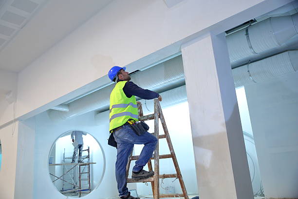 Best Basement Mold Removal  in Wrightsville, GA
